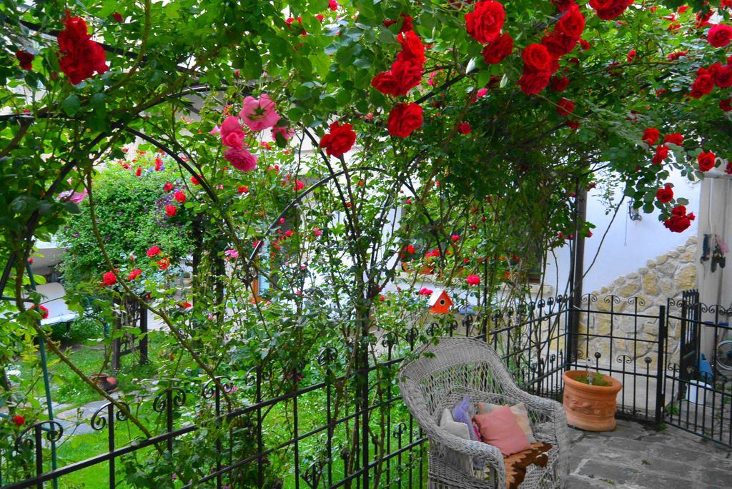 Residenza Dutzu-Boutique Hotel Braila Exterior photo