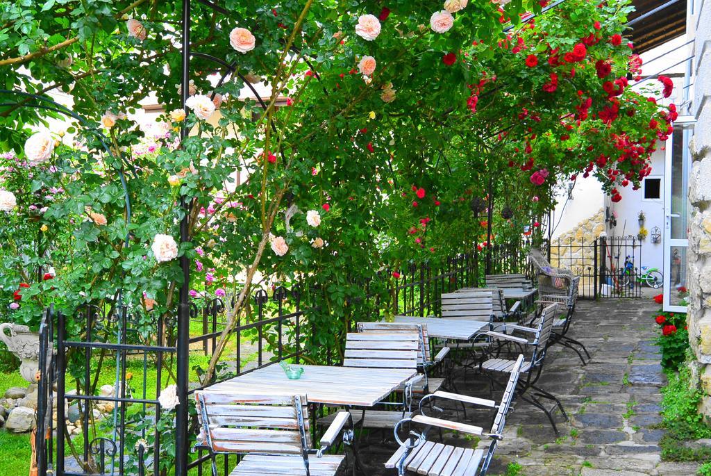 Residenza Dutzu-Boutique Hotel Braila Exterior photo