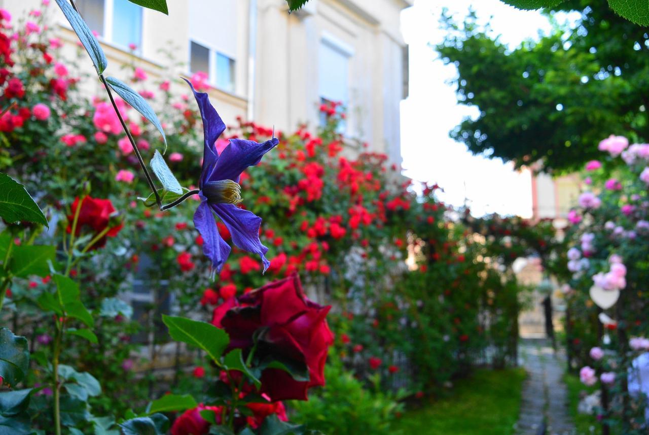 Residenza Dutzu-Boutique Hotel Braila Exterior photo